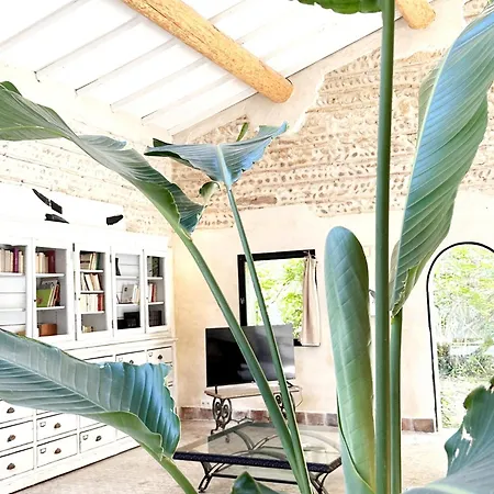 Magnifique Loft - Piscine - Tennis - Babyfoot Nimes