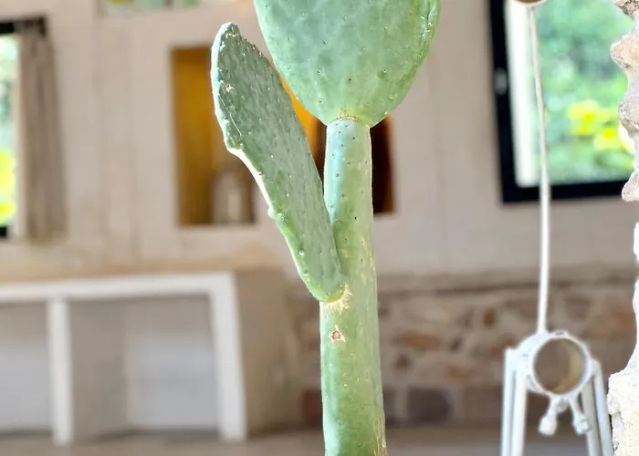 Magnifique Loft - Piscine - Tennis - Babyfoot *