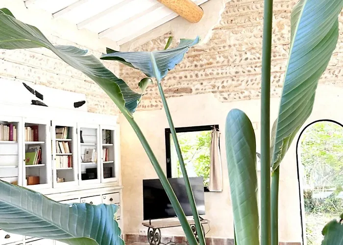 Magnifique Loft - Piscine - Tennis - Babyfoot Nîmes