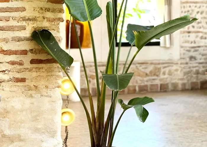 Villa Magnifique Loft - Piscine - Tennis - Babyfoot Nîmes